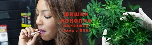 сатива Козельск