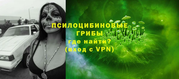 сатива Козельск