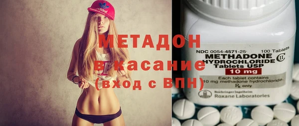 индика Нестеровская