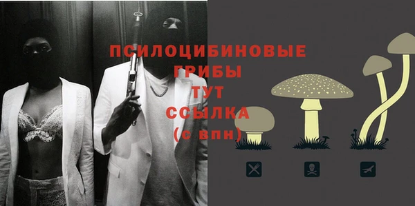 не бодяженный Киренск