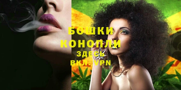сатива Козельск