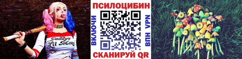 Купить закладки  Макушино  Галлюциногенные грибы Magic Shrooms 