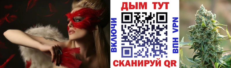 Купить закладки  Макушино  Конопля план 